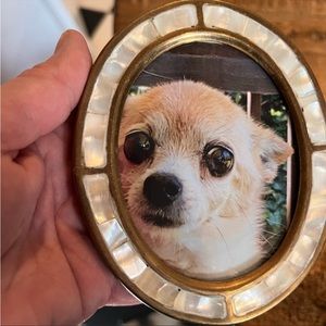 mother of pearl and brass picture frame